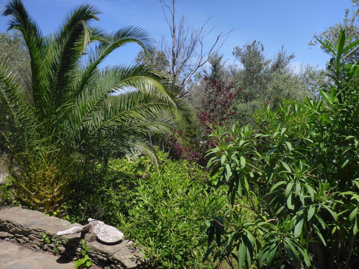 Apartment Hibiscus كاذاكيس المظهر الخارجي الصورة